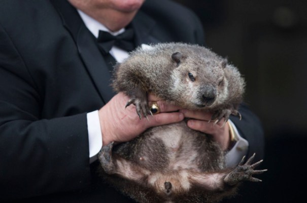 groundhog_day-chuck